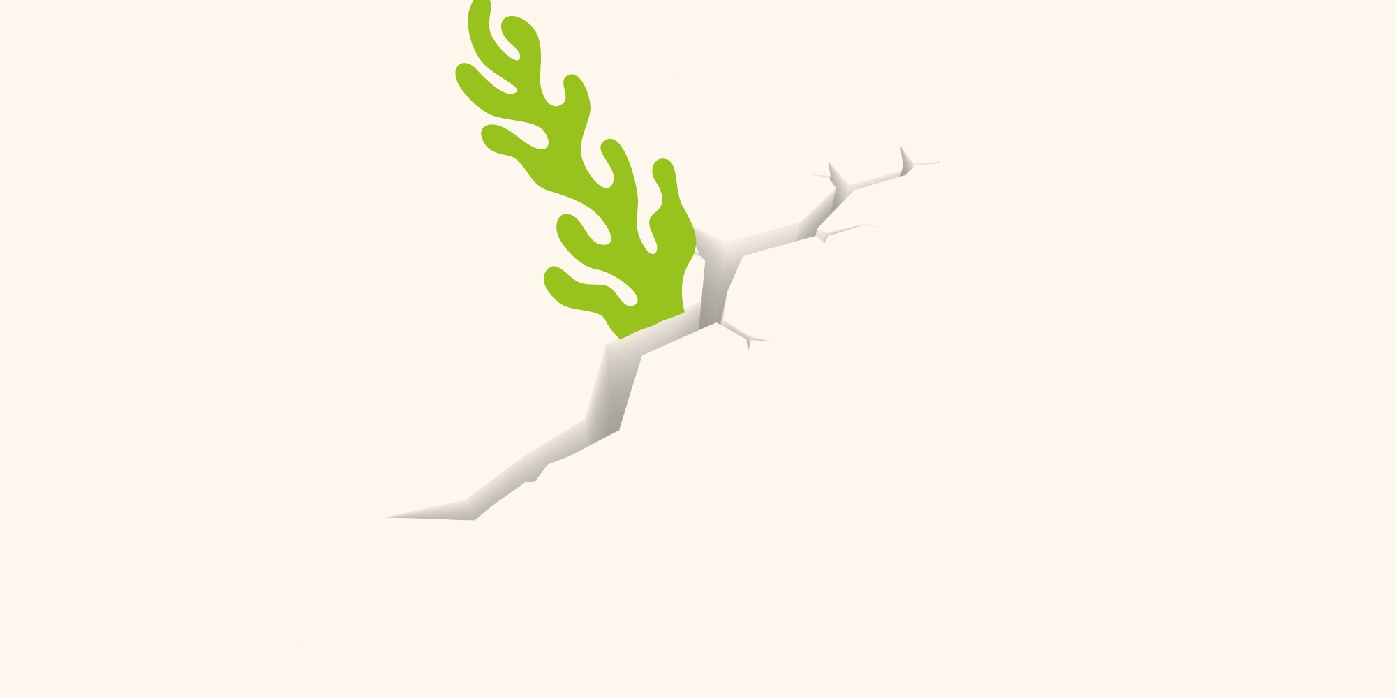 Abbildung Titelbild für die Haut & Fell LandingPage, zeigt eine Alge die aus einer Spalte wächst, symbolisch fürs Mikronährstoffkoonzentrat aus Algenbasis