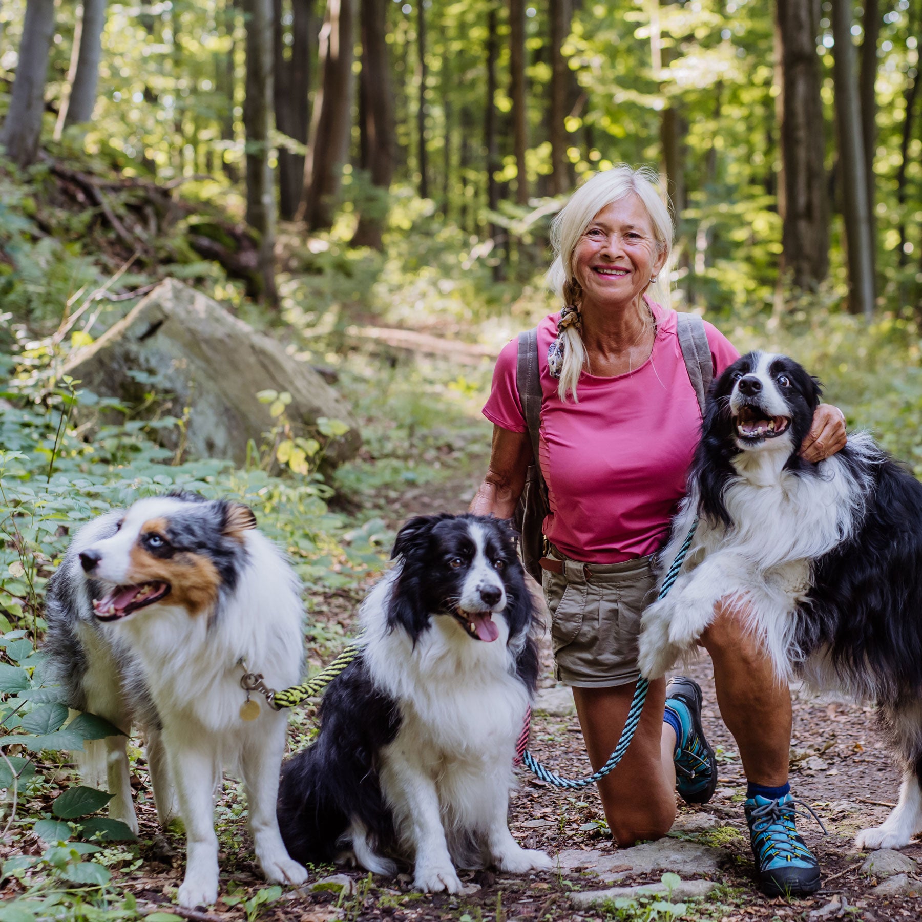 Big Blue Dogs Testimonial mit drei Hunden:  Snow, Socke und Chaplin