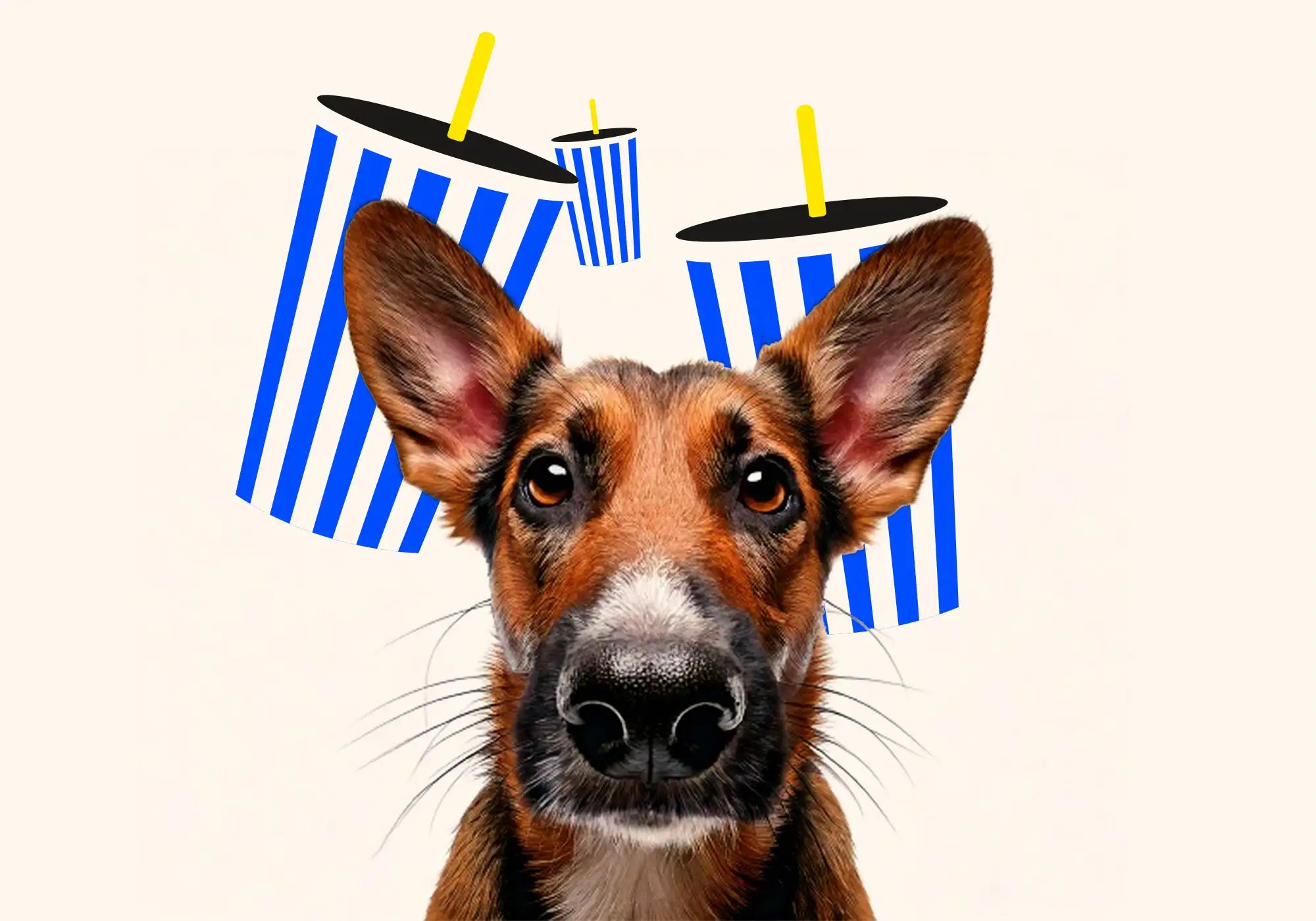 Big Blue Blog Abbildung dreier Signature Blau-Weiß-gestreiften Becher plus eine Abbildung eines realen Hundes, als Kategoriebild für die Sektion Mikronährstoffe, Variante 1